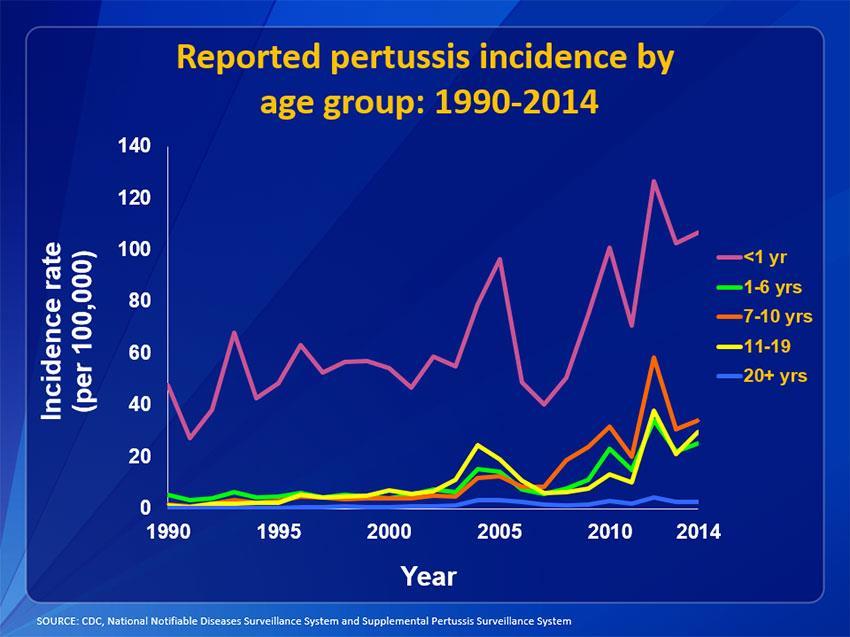 Pertussis (2014, 20,, 10% csecsemő, 15 családi halmozódás) cseppfertőzés - nem nagyon beteg személy Forrás:oltatlan, köhögő heteken át, rohamokban jelentkező köhögés, a köhögési roham végén hányás