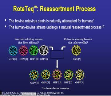 Rotateq/MSD Bovin/humán reasszortáns