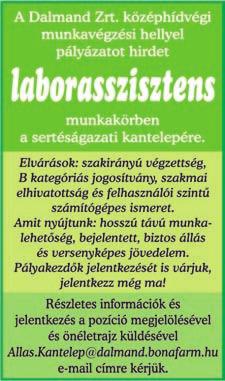 Nyugatmagyarországi (Győr, Mosonmagyaróvár és Sopron környéki) autóipari és fémipari nagyvállalatok állásajánlataiból