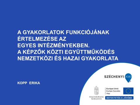 A GYAKORLATOK FUNKCIÓJÁNAK ÉRTELMEZÉSE AZ EGYES INTÉZMÉNYEKBEN. A KÉPZŐK KÖZTI EGYÜTTMŰKÖDÉS NEMZETKÖZI ÉS HAZAI GYAKORLATA.