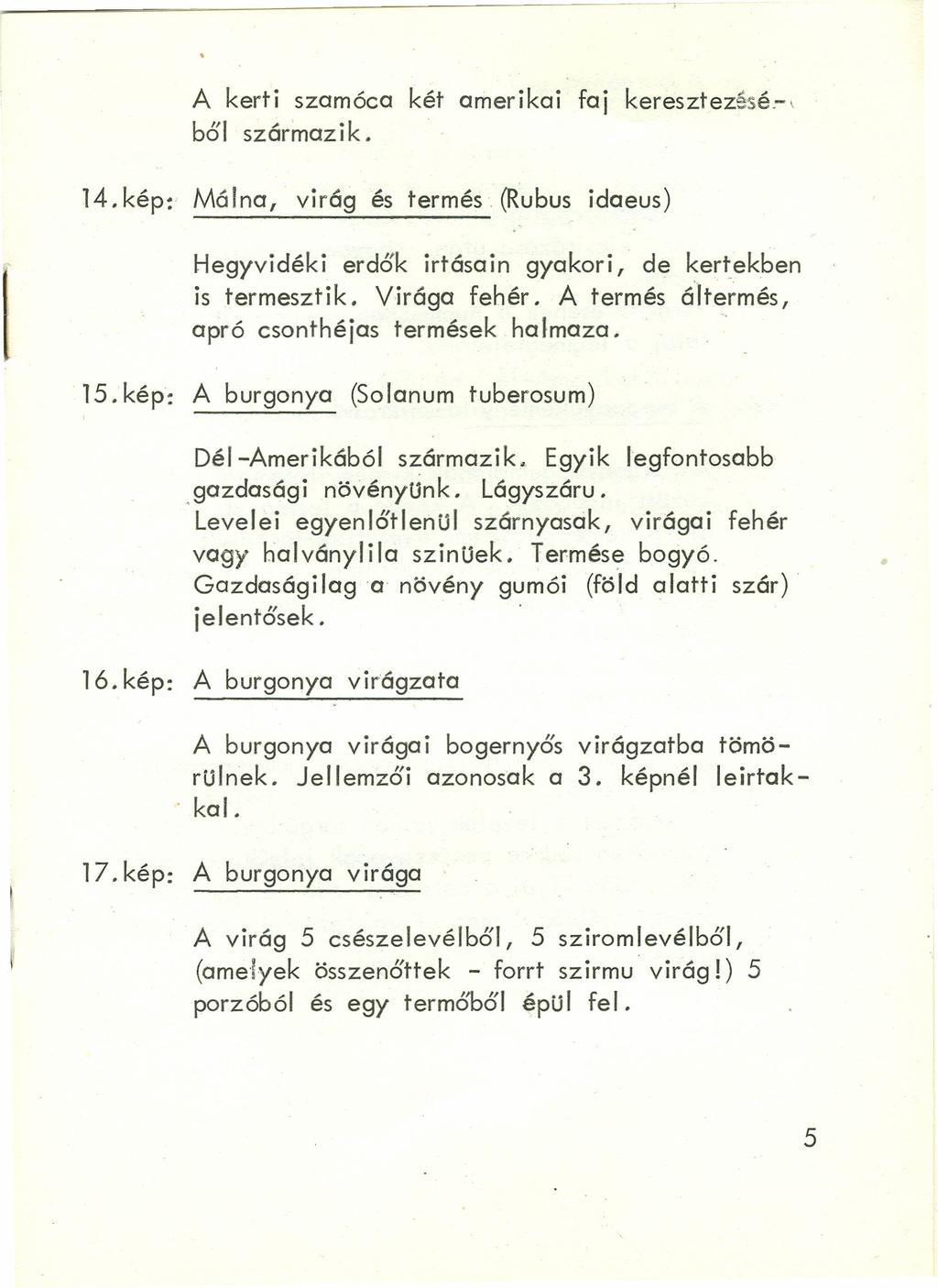 A kerti szemeco két amerikai faj keresztezésé-«ből származik. 14.kép:' Málna, virág és termés. (Rubus idaeus) I Hegyvidéki erdők irtásain gyakori, de kertekben is termesztik. Virága fehér.