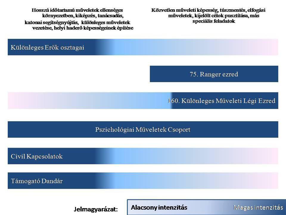 feladatokra szakosodtak (harci búvár, ejtőernyős, stb). A csoport állományába 12 fő tartozik, ahol minden katona külön szakterületre specializálódott. Az alegységet 1 tiszt, és egy zászlós vezeti.