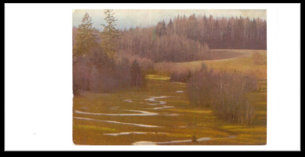 6. kép Még egy kép az erdővidékről, egy régi belarusz képeslapon. 1.4.