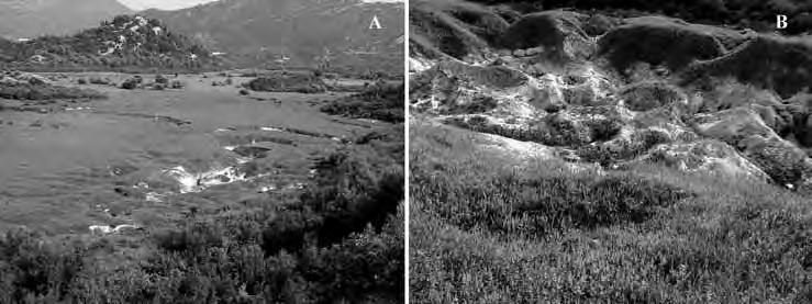 1 active suffosion doline; 2 inactive suffosion doline; 3 rain furrow; 4 Susica canyon az utánsüllyedéses dolinák vagy víznyelők járatain keresztül a karsztba szállítódik.