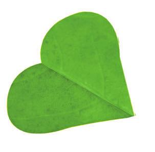 mint felelős munkáltató fontosnak tartja, hogy lehetőségeit kihasználva proaktívan