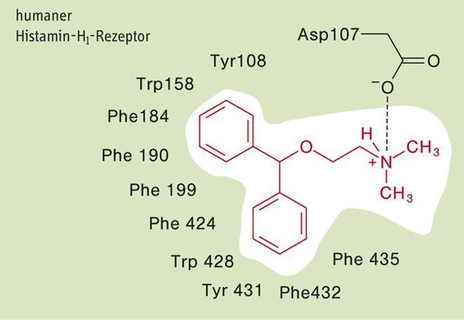 Antihisztaminok - 1 receptor antagonisták 1.