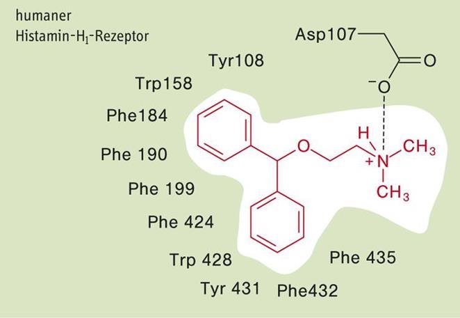 Antihisztaminok - 1 receptor antagonisták 1.