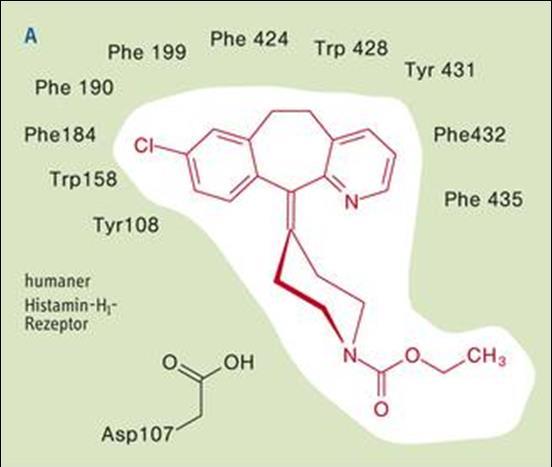 Antihisztaminok - 1 receptor