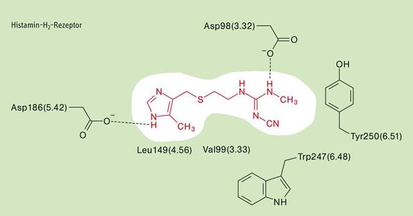 2 receptor antagonisták A