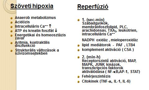 A program sikerességének eredményeként az ország szinte valamennyi egyeteméről jelentkeztek Intézetünkbe kutató munkára, elsősorban sebészek, aneszteziológusok, klinikai kardiológusok tudományos