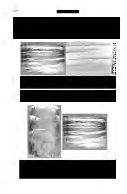 Földtani Közlöny 137/4 which have their origins in grain size alteration above 0.1 mm.