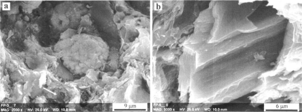 A vékonyréteges kőzettípus valamivel kevésbé negatív 5 1 3 C o r g értéke a tengeri szerves anyag korai diagenetikus, bioturbációra visszavezethető oxidációját támasztja alá, vagy a különböző eredetű