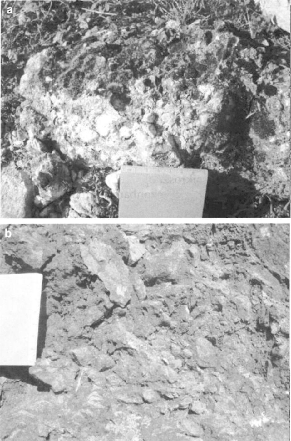 pont közelében, durvakristályos kalcittal cementálva, mely a terepen sárgás színével jól elkülönül a szintén jelenlévő fiatalabb kőzetréskitöltések fehéres kalcitjától, b = breccsás zóna (Bz) a 6.