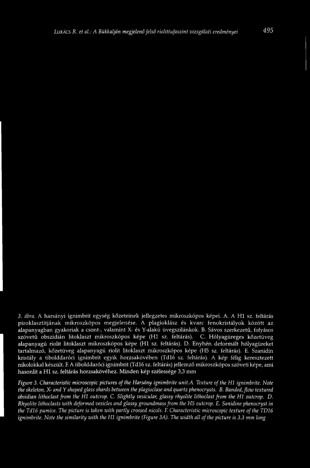 Sávos szerkezetű, folyásos szövetű obszidián litoklaszt mikroszkópos képe (Hl sz. feltárás). C. Hólyagüreges kőzetüveg alapanyagú riolit litoklaszt mikroszkópos képe (Hl sz. feltárás). D.