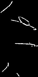 L I1 a