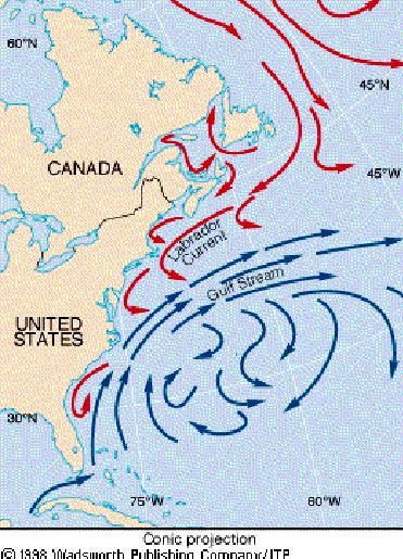 A Golf áramlás és az Észak-atlanti áramlás A Golf áramlás által