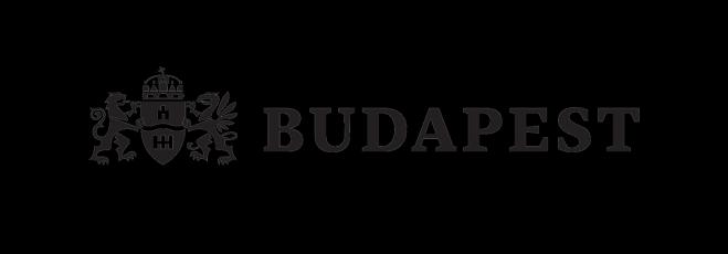 Budapest Főváros Közgyűlése Tulajdonosi, Gazdasági és Közterület-hasznosítási Bizottság *1000091313163* *1000091313163* ikt.