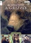 A grizzly (2001) DVD 2202 Narrátor: David Attenborough. Időtartam: 49 perc (BBC vadvilág sorozat) Kevés állat képes felvenni a versenyt az észak-amerikai grizzly-vel.