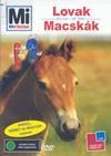 Lovak; Macskák (2007) DVD 2145 Rend.