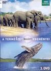 A természet nagy eseményei 3. (2009) DVD 3117 Közreműködik: David Attenborough Időtartam: 100 perc. (BBC earth) Tart.: A nagy áradás; A nagy lakoma Természetfeletti. Az állatvilág láthatatlan erői 1.
