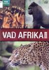 A hajdani társak találkozása életre-halálra szóló küzdelemmé válik. Vad Afrika 1. (2001) DVD 2349 Rend.: Martyn Colbeck, Owen Newman Időtaratm: 100 perc (BBC earth) Tart.