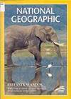Elefántkalandok (1994) DVD 3347 Időtartam: 52 perc A National Geographic filmje az utolsó szabadon kószáló afrikai elefántok időtlen utazását örökítette meg az észak-botswanai