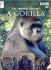 Gabon: a természet győzelme (2006) DVD 3351 Időtartam: 58 perc A rengeteg érintetlen élőhellyel rendelkező Gabon lehet sok afrikai faj utolsó reménysége: az erdei elefántoktól a síkvidéki gorillákon