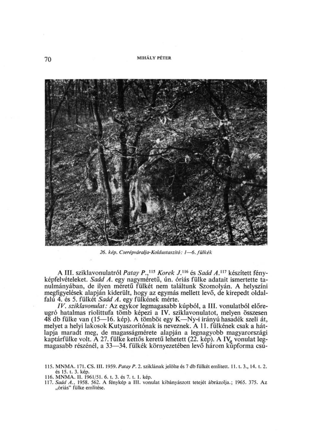 70 MIHÁLY PÉTER 26. kép. Cserépváralja-Koldustaszitó: 16. fülkék A III. sziklavonulatról Patay P., ns Korek 7. 116 és Saád A. ni készített fényképfelvételeket. Saád A. egy nagyméretű, ún.