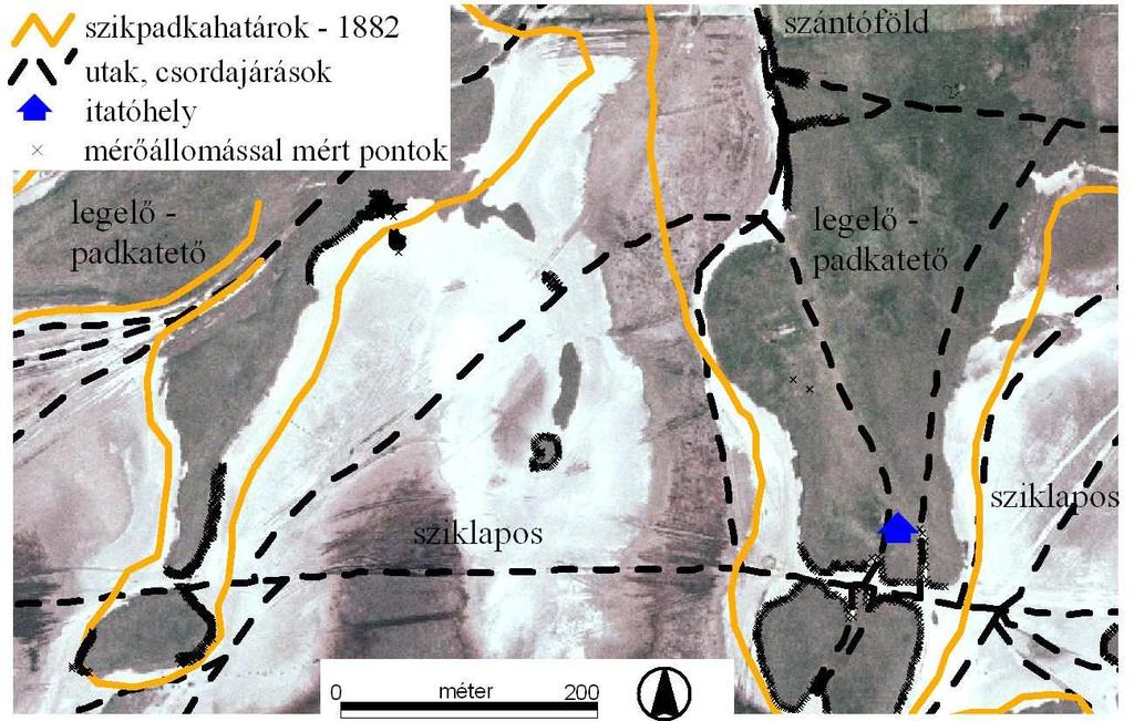 1. táblázat Az erózió mértéke az 1. ábra egyes szikpadkáinál. Szikpadka Eredeti terület 1982. évi terület Feltételezhetı erózió [m 3 /év] száma [ha] [ha] 1 14,58 12,45 kb.