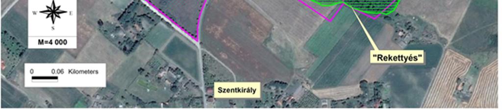 fedett élőhely. Évtizedekkel ezelőtt a helyi TSz. az intenzív hasznosítására törekedett. A sikertelen vállalkozás után a terület teljesen magára maradt és fokozatosan elcserjésedett, fásodott.