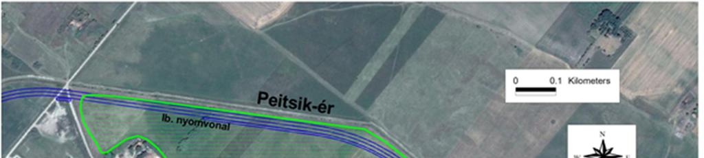 A védett növényfajok közül a korcs, vagy másnéven fátyolos nőszirom (Iris spuria) állomány él rajta, a pontos állományméret nem ismert, de, min. több százas.
