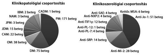 1. ábra 330 myositises betegünk klinikopatológiai és klinikoszerológiai klasszifikációja CADM = clinically amyopathic dermatomyositis; CAM = (cancer-associated myositis) daganattal társult myositis;