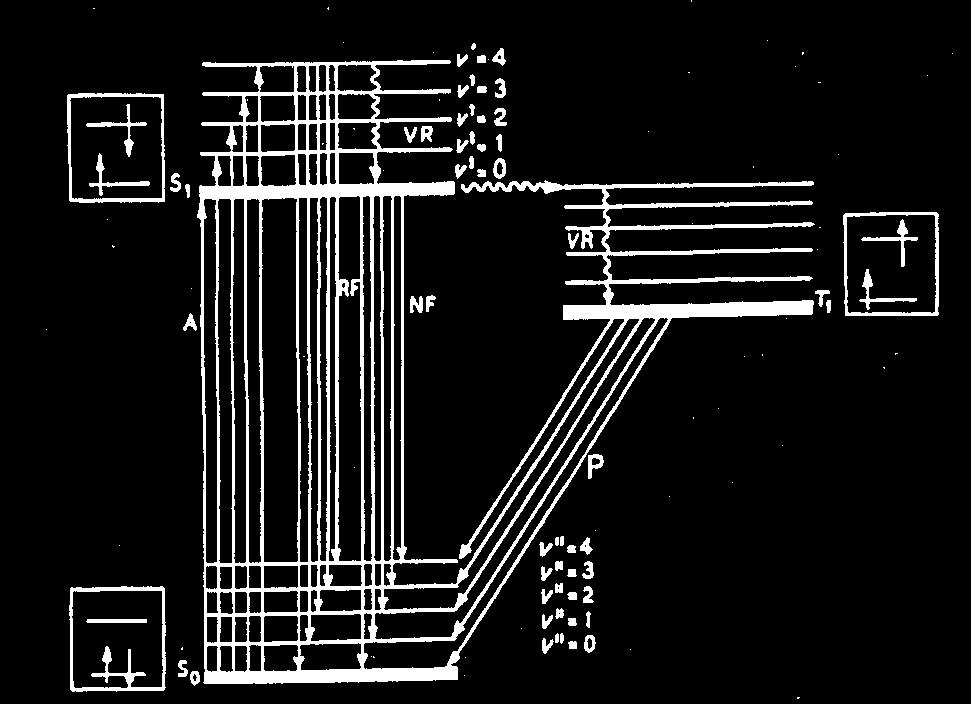 Jablonski diagram Az S 1 állapotú gerjesztett elektron spin-átfordulással átmehet a T 1 gerjesztett állapotba (energiacsökkenés), ahonnan az S 0 alapállapotba visszatérés tiltott T