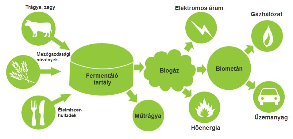 A biogáz felhasználásának legelterjedtebb módja a belső égésű motorokban lévő gázégető hő- és villamosenergia-termelés.