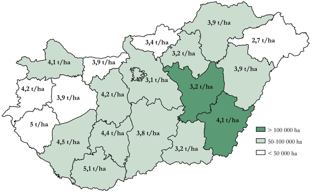 GABONAPIACI JELENTÉS Az MgSzH július 27-i jelentése szerint 92%-ban befejezıdött a búza aratása.