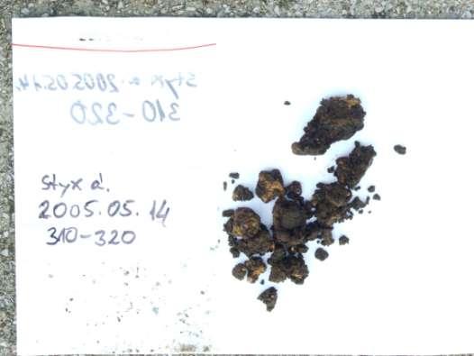 A Styx fúrás 310-320 cm mélységéből származó, barnásfekete (2,5YR 2,5/1) szerves szennyeződésű iszap (esetleg betemetett guanó?) Megjegyzések: 1. 320-350 megütött víz.