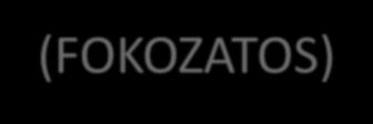 HONOSÍTOTT MODERNIZÁLÁS FELZÁRKÓZÁS (NYUGAT EURÓPAI