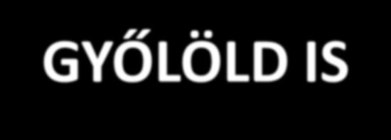 A LÁGER HONI MÁSOLATA AZ ELLENSÉGET