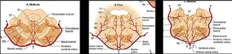 Ocularis Stroke szemmozgató rendszerben az AGYTÖRZS artériás vérellátási zavara Dg.