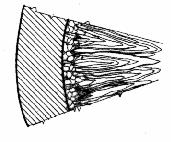 Sugaras (oszlopos dendrites)