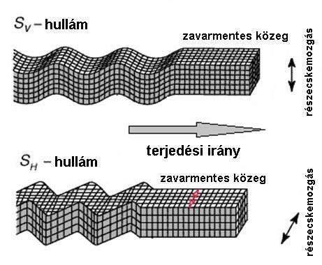 S-hullám Az S-hullámoknak két speciális változata van: vízszintesen (horizontálisan) polarizált S-hullám (SH-hullám), függőlegesen (vertikálisan) polarizált S-hullám (SV-hullám).