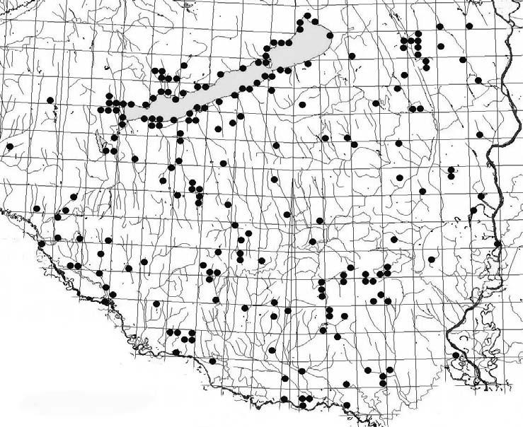 72 NATURA SOMOGYIENSIS 36. ábra: Az Ischnura pumilio lelőhelyei Jellemzése: Lárvája túlnyomórészt állóvizekben fejlődik, inkább a kisvizekre jellemző.
