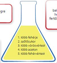 .. betűvel jelölt... -állományában elhelyezkedő..., és a(z)... betűvel jelölt... -állományba is átnyúló csatornarendszer. A vese működésének három alapvető folyamata van, ezek sorra:...,... és az aktív kiválasztás.