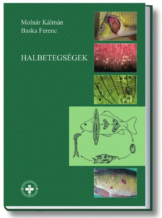 év minden szakában gyönyörű, hatalmas víztömeg uralta táj. Annak számtalan érdekessége, gazdag növény- és állatvilága.