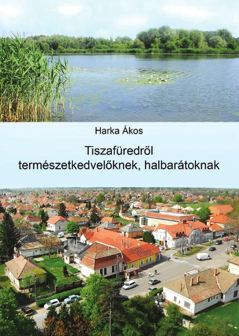 túlérő, abba bekérezkedő sártengerben, olykor éjszakába nyúló el-eltévedéssel fűszerezett hazavergődésben. Induláskor a mohó tudásvágy, visszafelé nemegyszer már csupán a szív és lélek kitartó ereje.