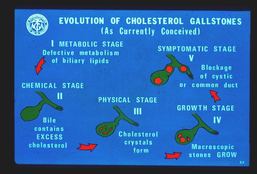 A cholesterin
