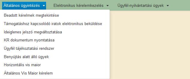 elektronikus benyújtására, az ügyfélkapun lévő tárhelyről letöltött KR dokumentum nyomtatására és az ideiglenes jelszó megváltoztatására.