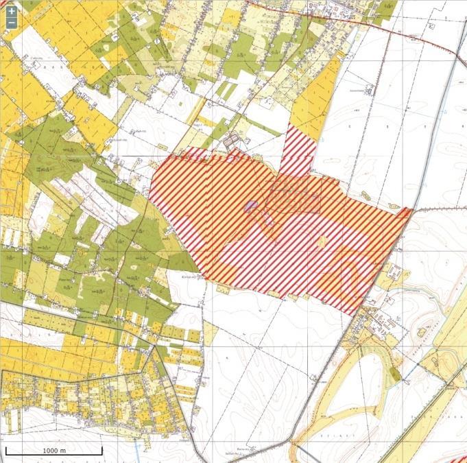 Natura 2000-es terület ellenőrzése Csépa-szelevényi gyepek