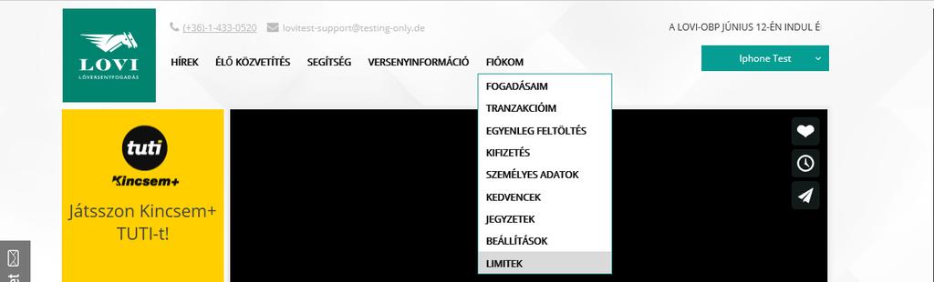 11. Ha a feltöltés megtörténik, megjelenik a A file-ok feltöltésre kerültek felirat, valamint megjelenik a dokumentumok feltöltésének időpontja.