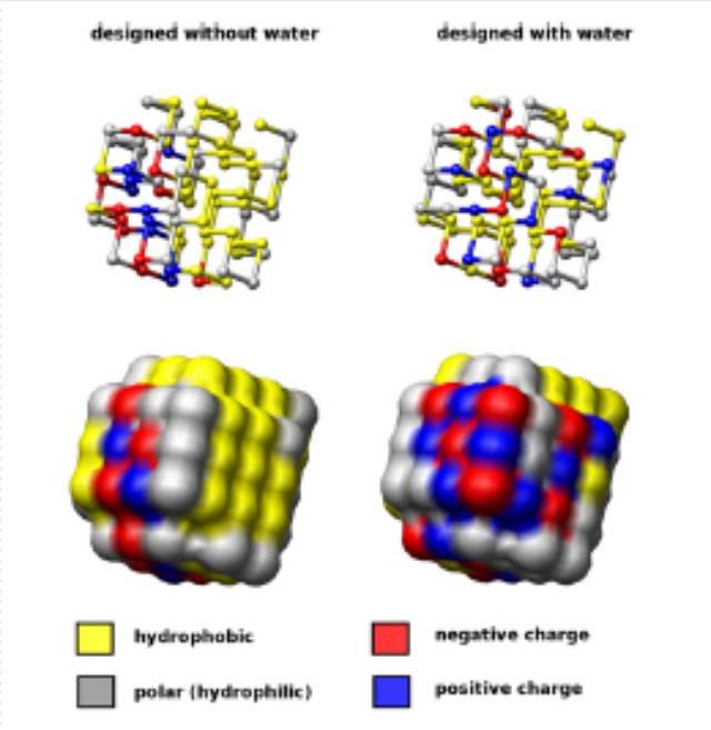 Hidratációs erők Makromolekulák felületi töltései kölcsönhatnak víz-molekulákkal. Molekula molekula kölcsönhatáshoz a kötött vízmolekulákat le kell választani.